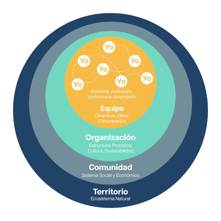 Diagnóstico Sistémico y Organizacional